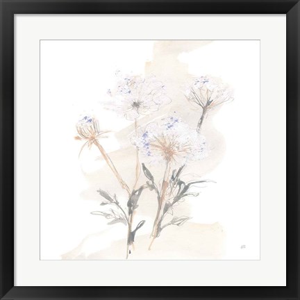 Framed Queen Annes Lace II Print