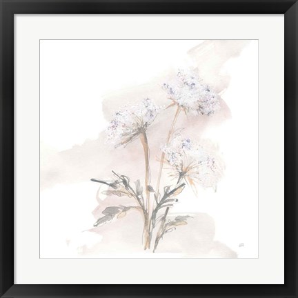 Framed Queen Annes Lace I Print