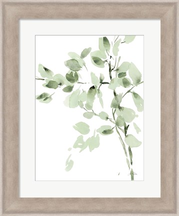 Framed Cascading Branches II Print