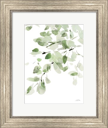 Framed Cascading Branches I Print