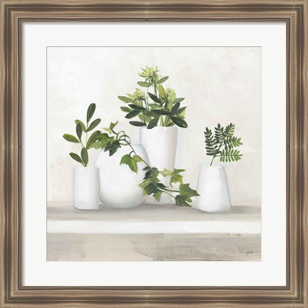 Framed Plant Life III Print