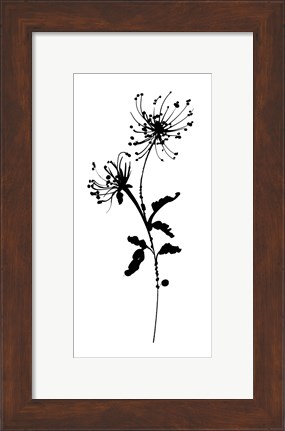 Framed Silhouette Floral IV Print