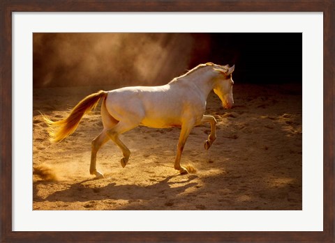 Framed Dancing In The Light Print