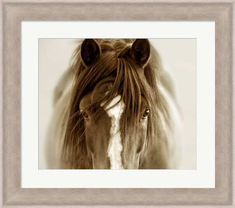 Framed Ghost Horse Print