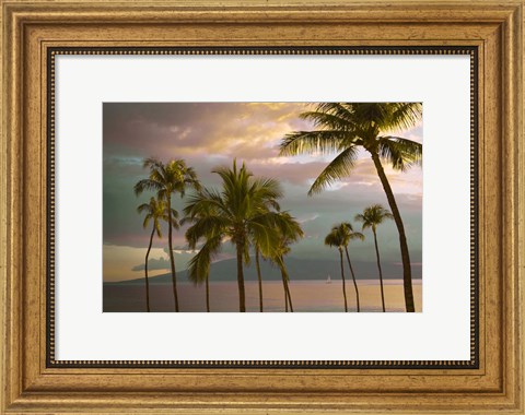 Framed Hawaii Palm Sunset No. 1 Print