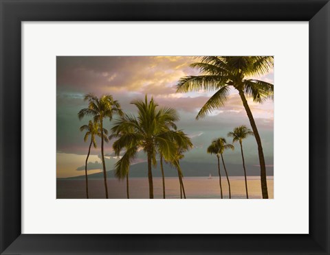 Framed Hawaii Palm Sunset No. 1 Print