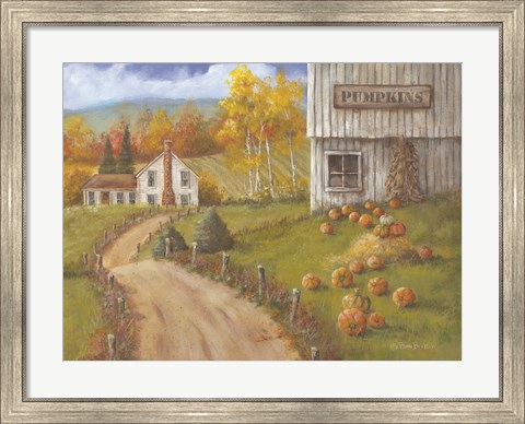 Framed Harvest Pumpkin Farm Print