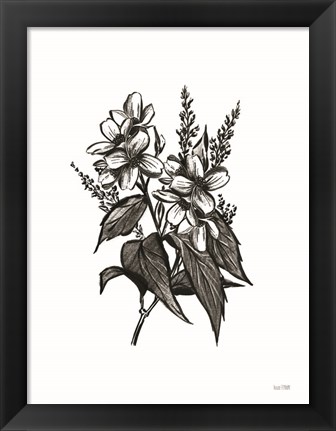 Framed Pen and Ink Wildflower I Print