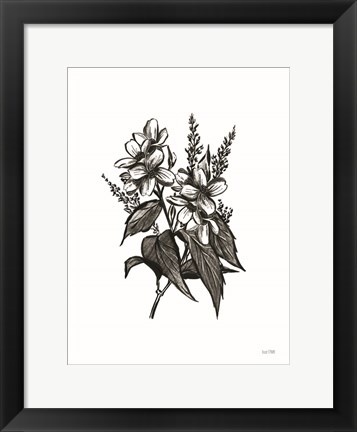 Framed Pen and Ink Wildflower I Print