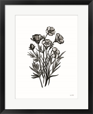 Framed Pen and Ink Wildflower II Print