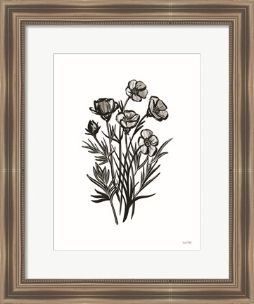 Framed Pen and Ink Wildflower II Print