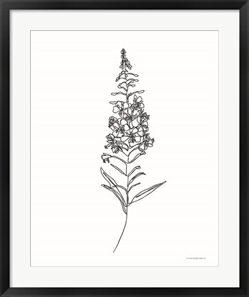 Framed Fireweed Print