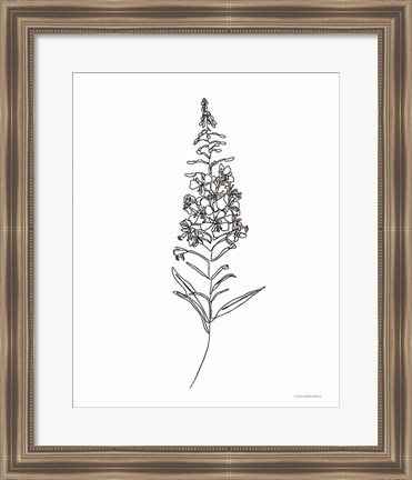 Framed Fireweed Print