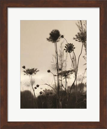 Framed Queen Anne Silhouettes Print