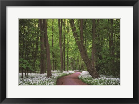 Framed Fragrant Road Print