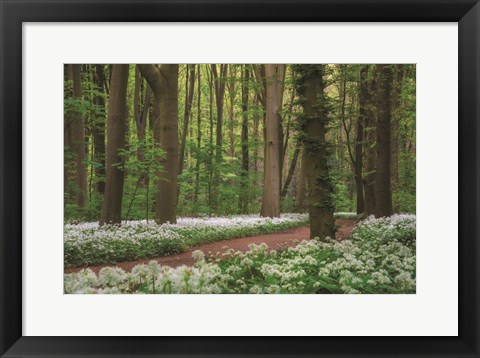 Framed White Carpet Print