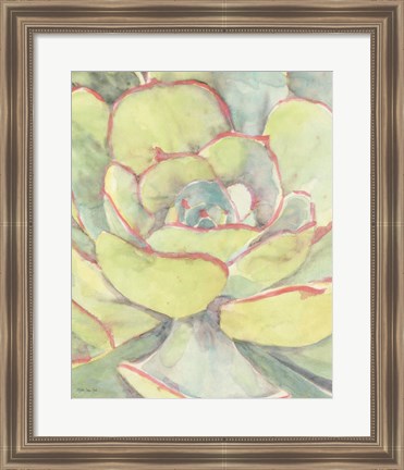 Framed Succulent Bloom 2 Print