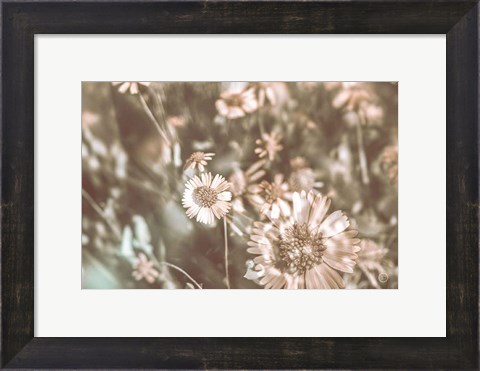 Framed Flower Power Print