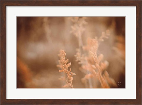 Framed Texas Wild Print