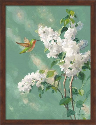 Framed Hummingbird Spring I Print