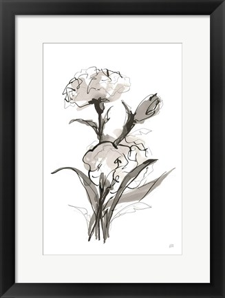 Framed Carnation II Print