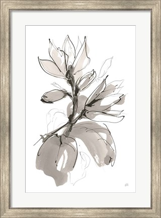 Framed Magnolia I Print