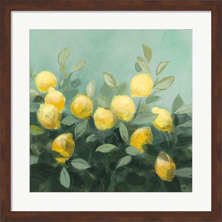 Framed Lemon Grove II Print