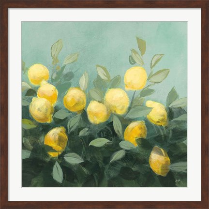 Framed Lemon Grove II Print