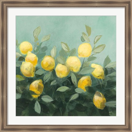 Framed Lemon Grove II Print