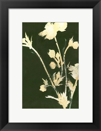 Framed Pure Nature 6 Print