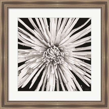 Framed Black and White Love Print