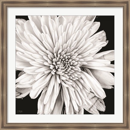 Framed Black and White Love II Print