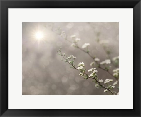 Framed Floral Dreams Print