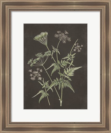 Framed Chives Print