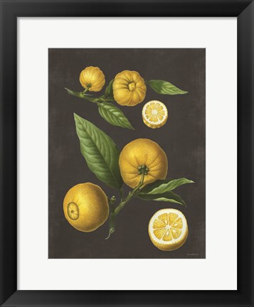 Framed Lemon Citrus Print