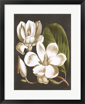 Framed Magnolia Print