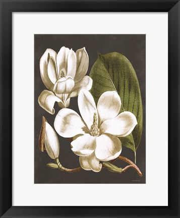 Framed Magnolia Print