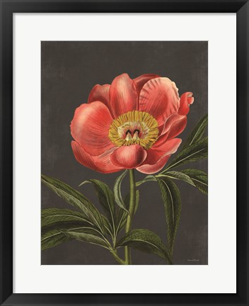 Framed Peony Print