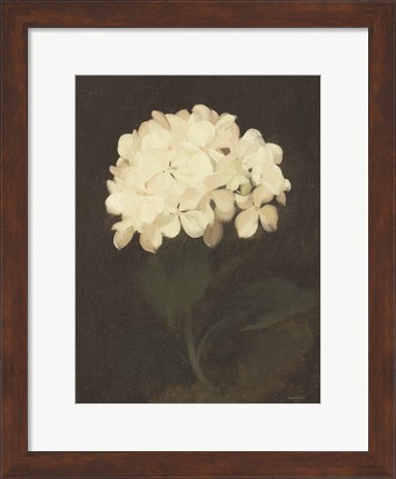 Framed Vintage White Hydrangea Print