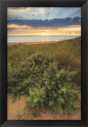 Framed Dutch Dunes Print