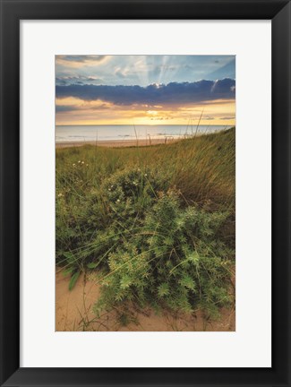 Framed Dutch Dunes Print