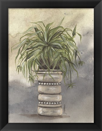 Framed Spider Plant in Pottery Print