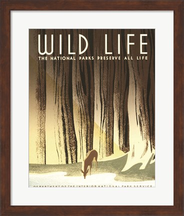 Framed Wild Life Print