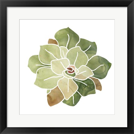 Framed Succulent Cameo XVI Print