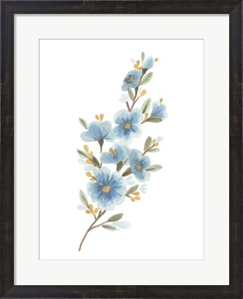 Framed Wildflower Sprig II Print
