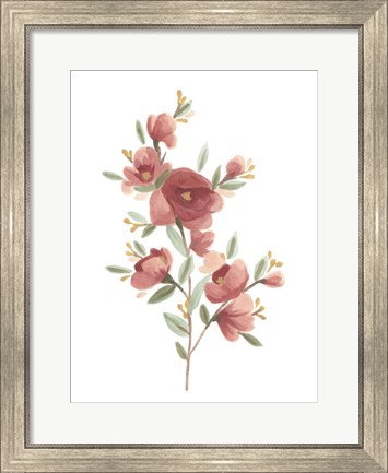 Framed Wildflower Sprig IV Print