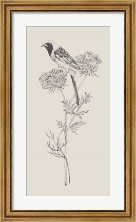 Framed Nature with Bird II Print