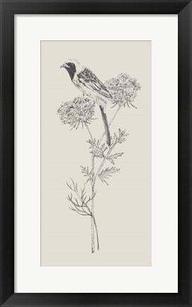 Framed Nature with Bird II Print