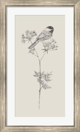 Framed Nature with Bird III Print