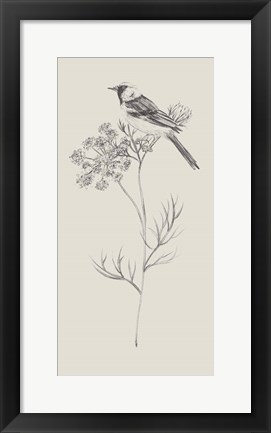 Framed Nature with Bird IV Print